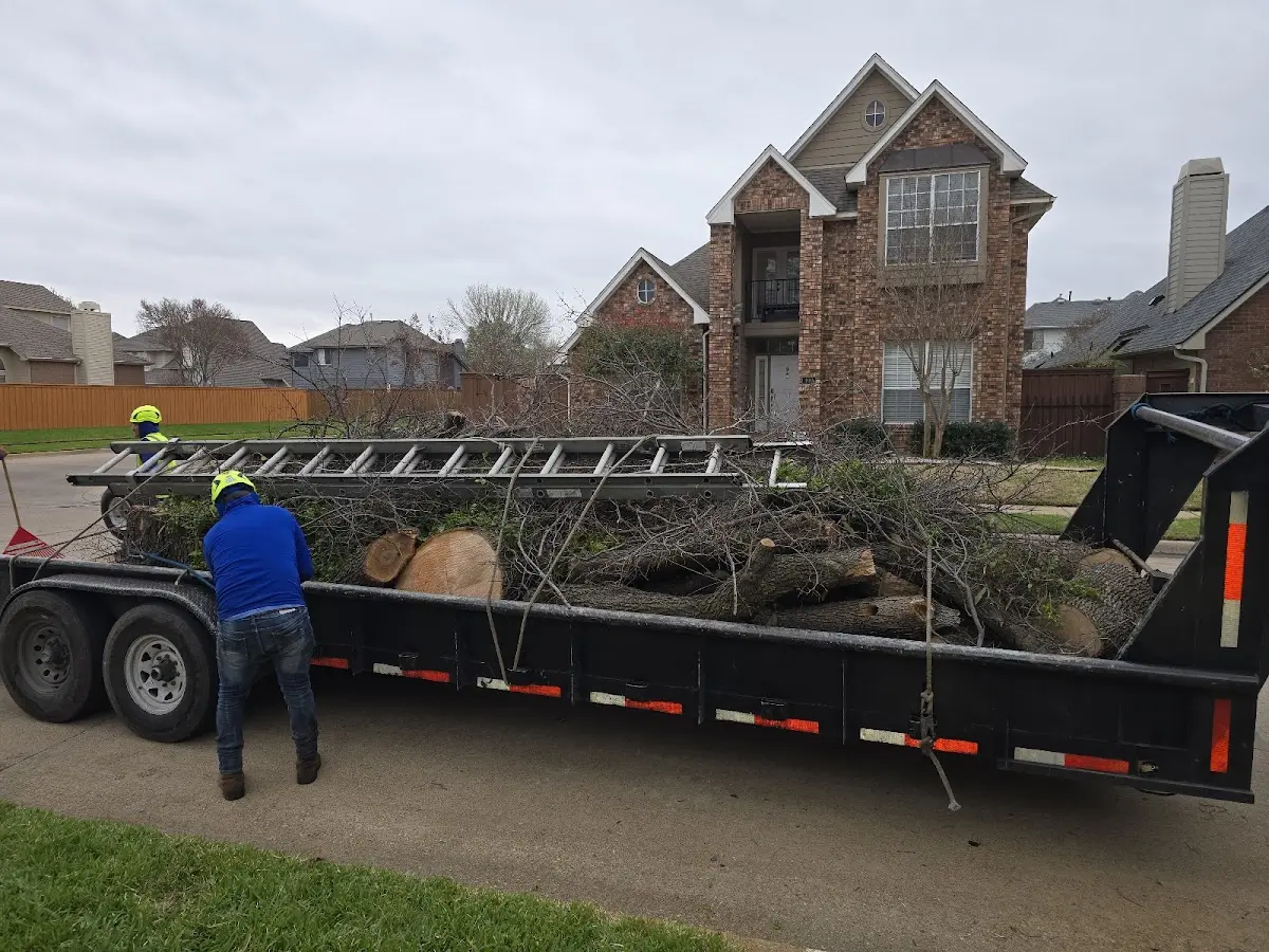 Expert Tree Fertilization with proper safety equipment in Byram